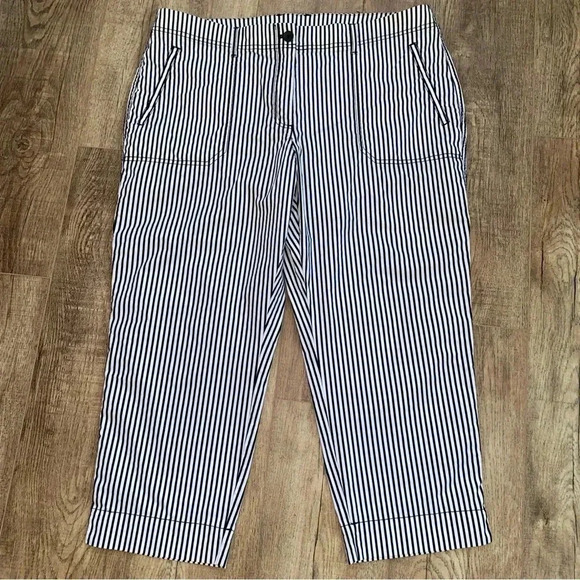 Chico’s Ankle Length Pants So Cute 🥰 Size 16 - Picture 7 of 14